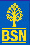 BSN logo