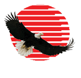 Paneagle logo